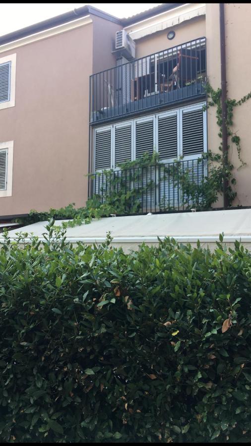 Apartment Vedrana 罗维尼 外观 照片