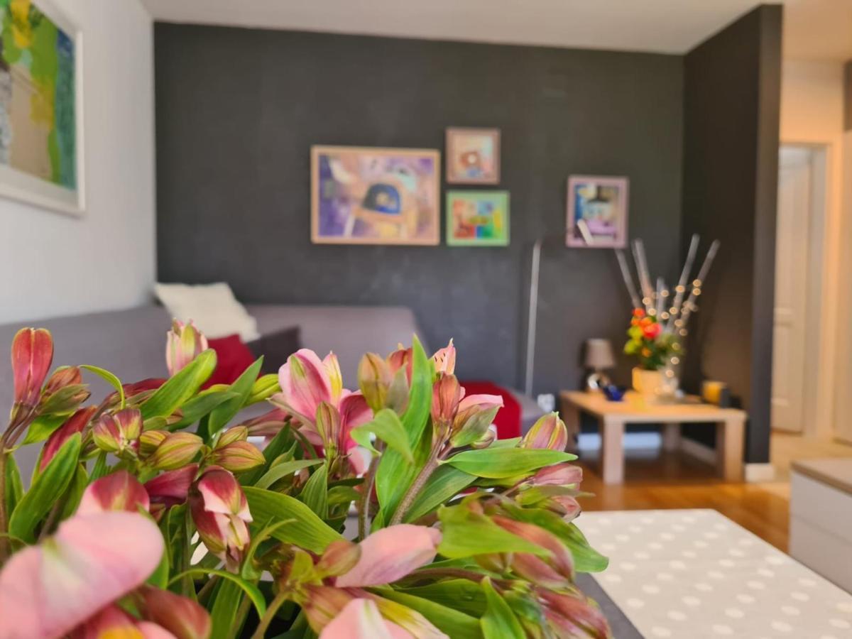Apartment Vedrana 罗维尼 外观 照片