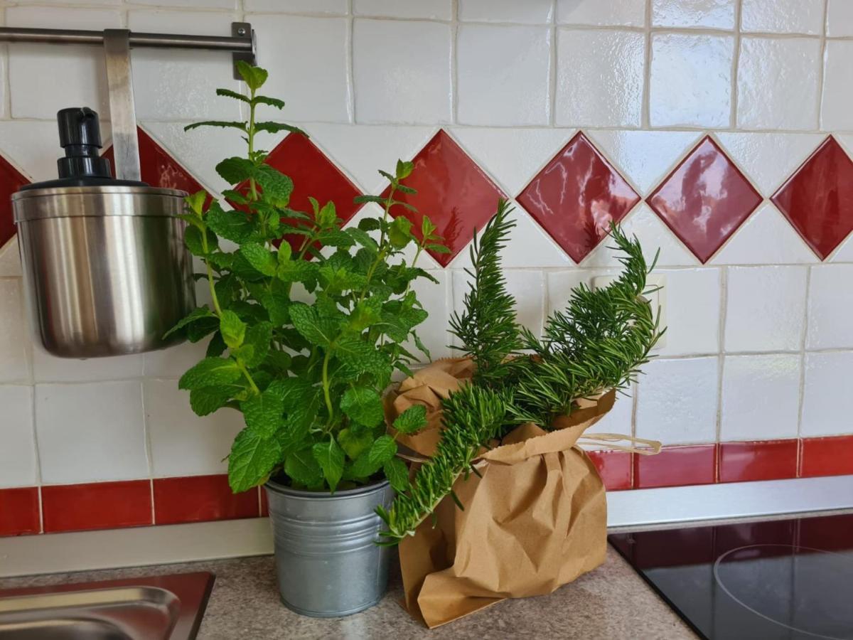 Apartment Vedrana 罗维尼 外观 照片