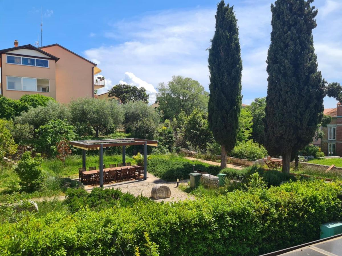 Apartment Vedrana 罗维尼 外观 照片